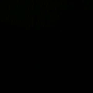 Meet your Posher, Jazmine